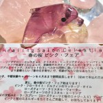 7FC4309A-F92E-47D8-A47D-9F80173C49D7